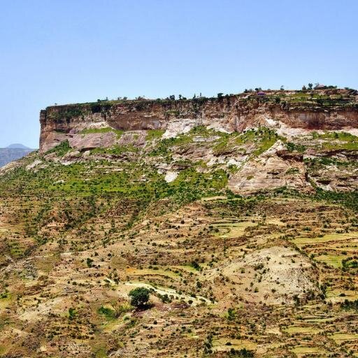 mengistu18's profile picture. 