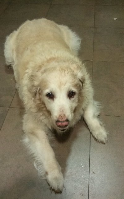 maicasasus's profile picture. 