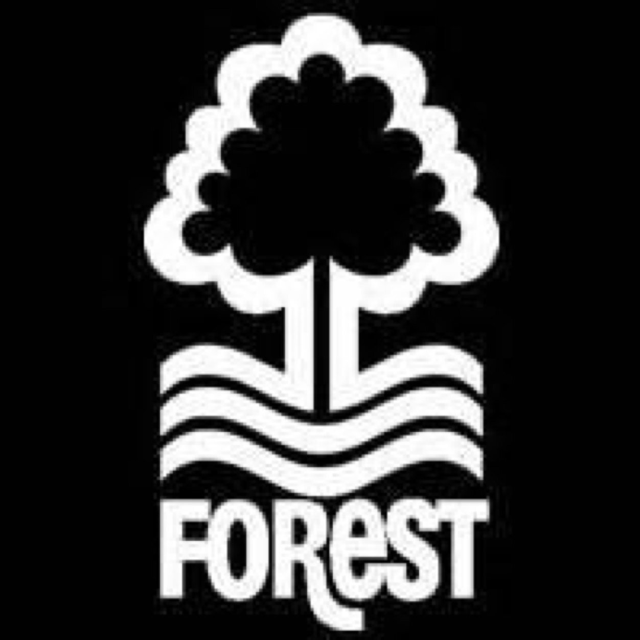 forest fan since 1973 love speedway hate afcb