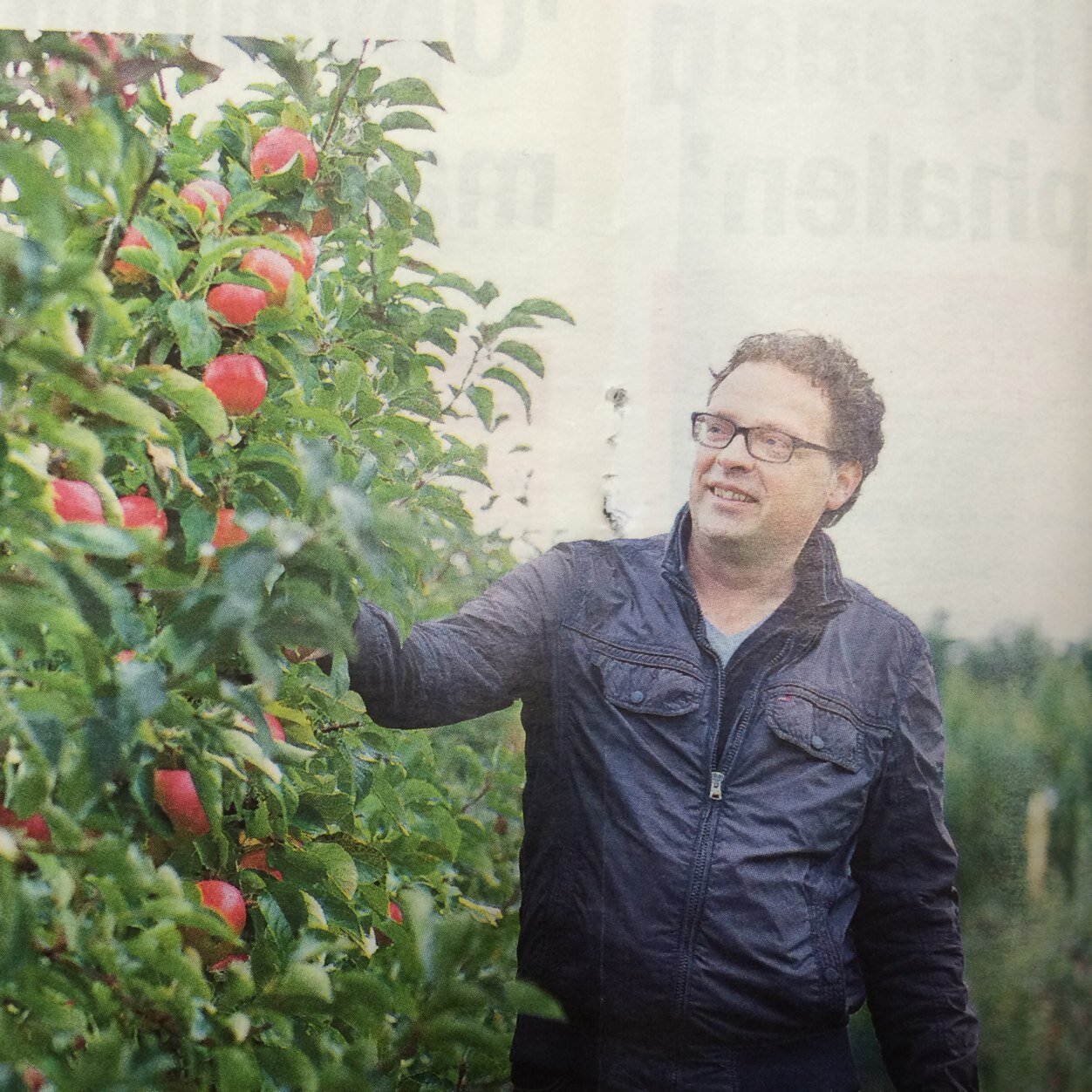 Boomkwekerij Fleuren in Baarlo, kwalitatieve vruchtbomen voor de professionele fruitteler.