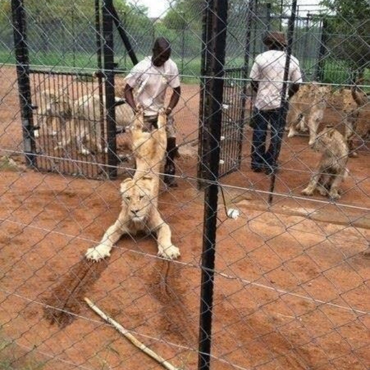 PatEdwards007's profile picture. 