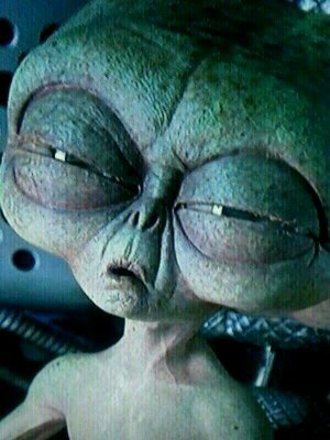 SeleneVicario's profile picture. Pos yo soy yo y mi mundo