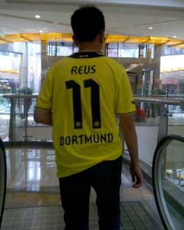 Big fan of @arsenal and @BVB ! Football is my life !