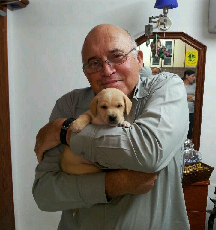 dikogold's profile picture. 