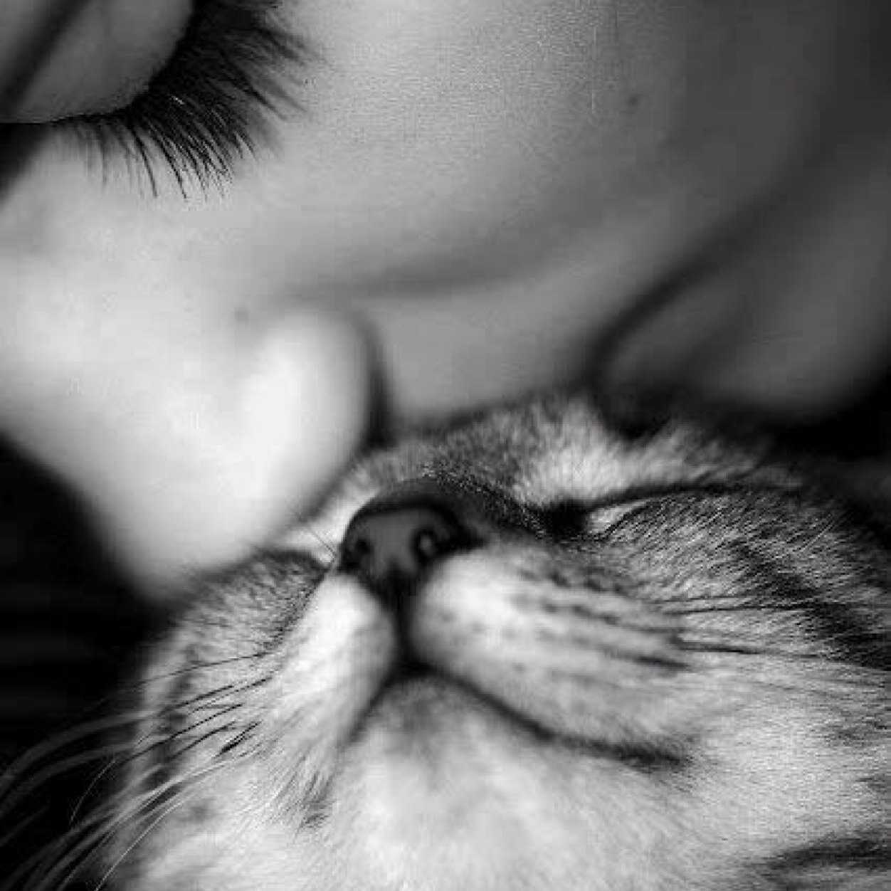 cynthiagn04's profile picture. 