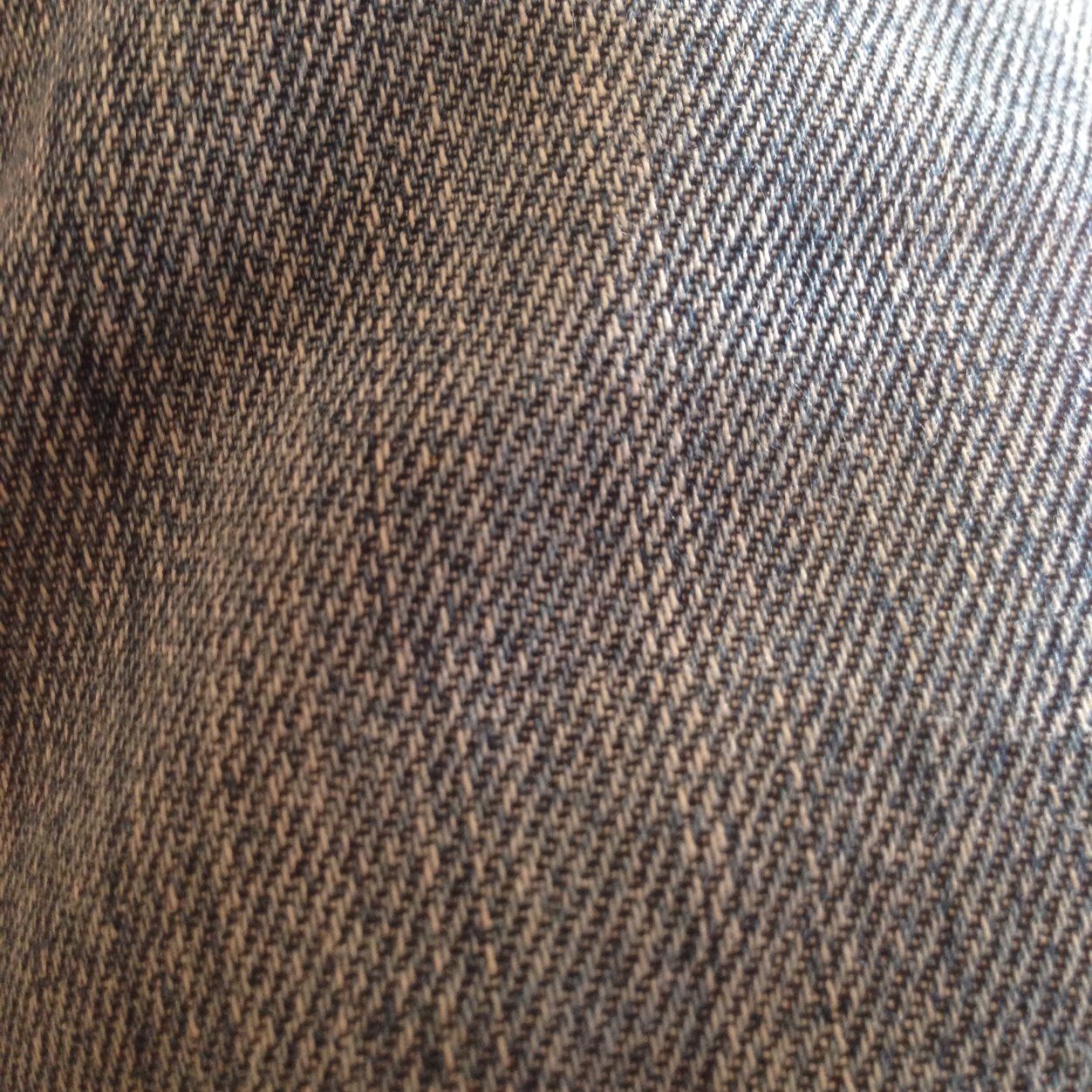 GoncaloRocha's profile picture. 