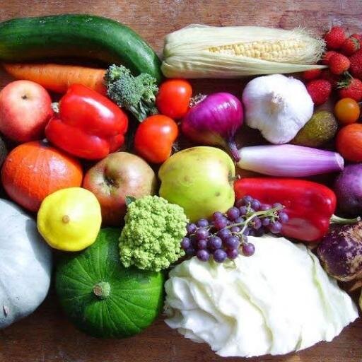 grow_your_own5's profile picture. 