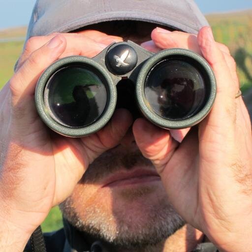 Marcus Nash runs The Bird ID Company, specialising in guided birdwatching day tours and birding holidays in Norfolk & beyond