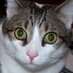 Boris Kitty (@boriskitty) Twitter profile photo Boris Kitty (@boriskitty) Twitter profile photo