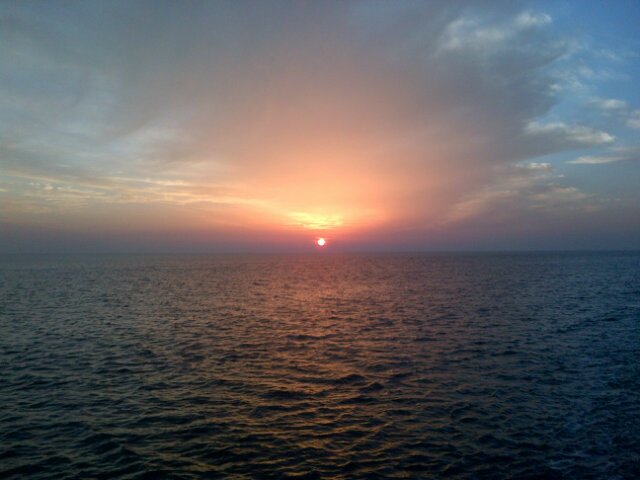 Nina_arine's profile picture. crypto investor