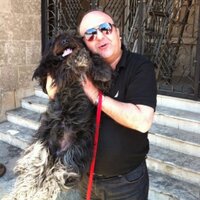 Dr samer Bassous (@samer_bassous) Twitter profile photo