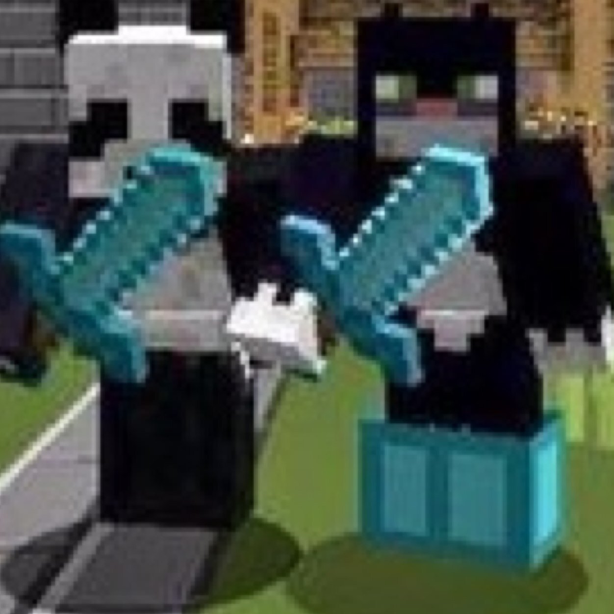 Hello I am Ela!!!!!!!I am a nature lover!!!!I love making new friends!!!!I love playing minecraft!!!My favorite plant is lavender!!!My fav pattern is floral!