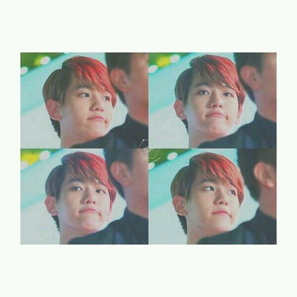 백현. bot. exo ❤ {14O414} εїз