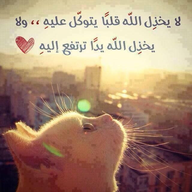 لا إله إلا الله محمد رسول الله