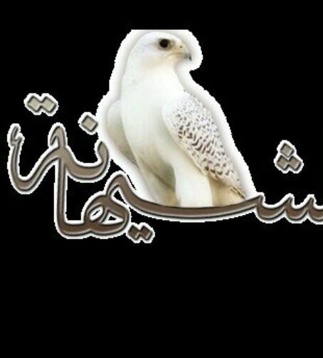 ‏محدن كفو يحاسبني علئ النقص والزود  محدن شرا لي فرحتي من حلاله