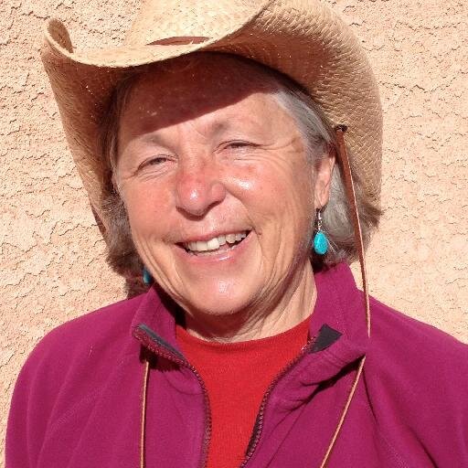 nancyboflood's profile picture. Children’s author | Mother  | Navajo Nation, Saipan, Colorado) |  PhD (MN), MSW (VT) | Rodeo buff | Slow runner | http://t.co/aeKD8fz8pT