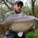 Dan Field - @danf84 - Twitter