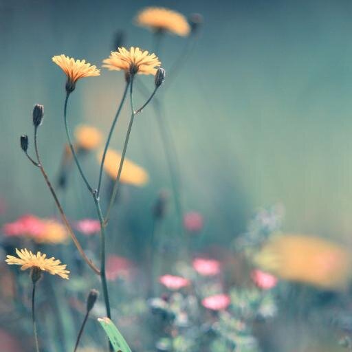 downbytheriver5's profile picture. 