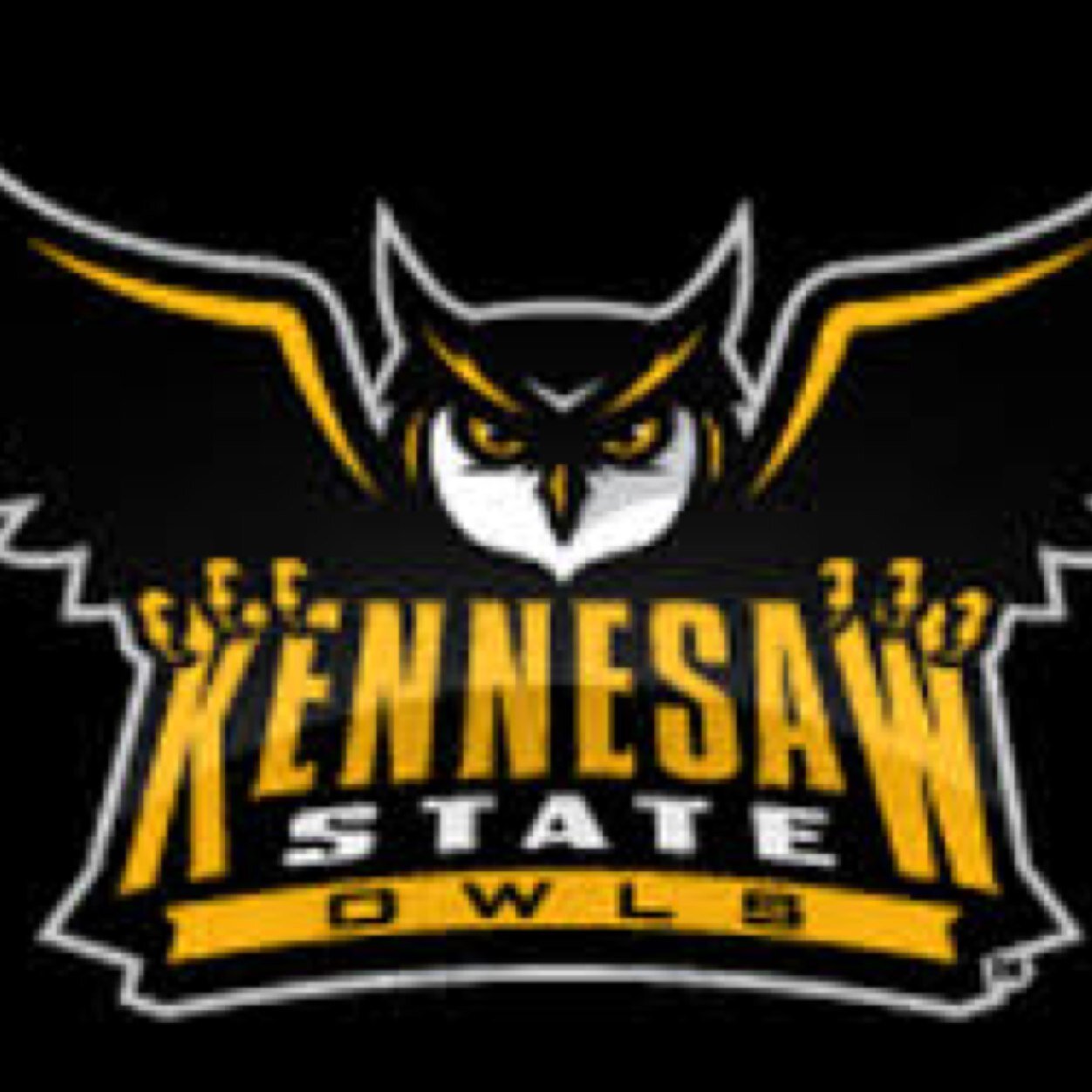 The real #KSU TURN UP Page!! Tell ya friend to #Retweet and #FOLLOW the OFFICIAL!!! The rest were just Rough Drafts #KENNESAWSTATE. #OWLNATION #KSUFOLLOWERS