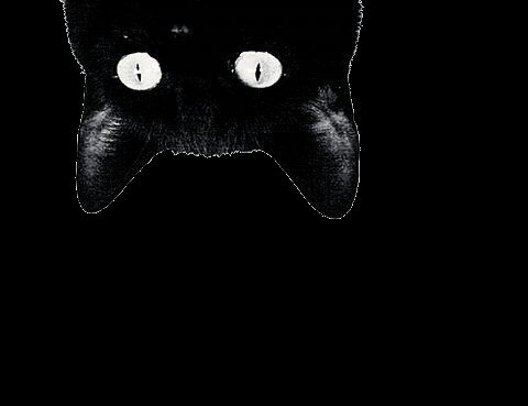 ♡​ i have brittle bones it seems, i bite my tongue and torch my dreams ♡​