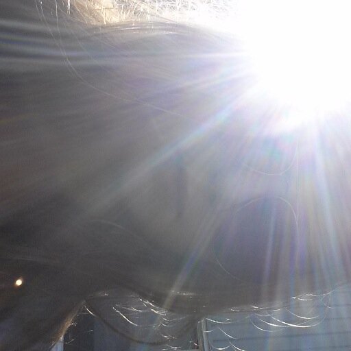 taylormichela's profile picture. I solemnly swear I am up to no good