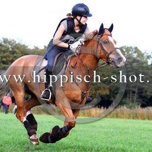 Elsemiek98's profile picture. 15 years old; horse is all for my (ll') ; 4L1'' AOC oost dtc '' team panda met de liefste @foreverestherx '' hou van die mensen die mij niet zomaar laten staan