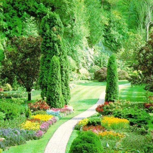 luvbald's profile picture. 