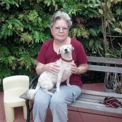 lejolla's profile picture. MarriageFamilyChild therapist.  My sweetie dog, is  a curly Jack Russell.  CONSERVATIVE INTERESTS, enjoy gardening and people.