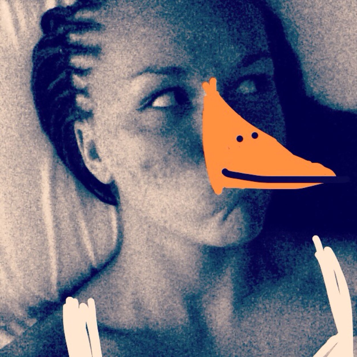Duck-fuck