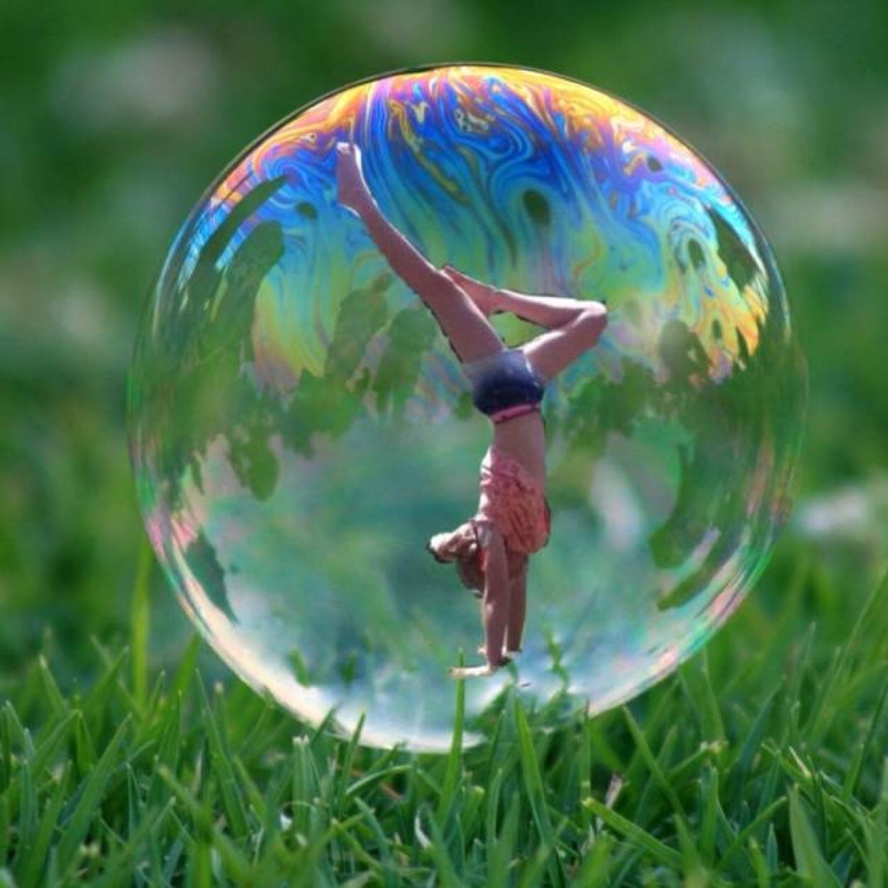 Niamh54085559's profile picture. Hi I'm Niamh I Am A Believer A Dreamer And A fighter! I love Vania (stellabeauty08) Vania is my Queen!  I Am Also A Gymnast A Dancer And A Swimmer!