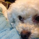 Evan Gregg - @EvanK3PO - Twitter