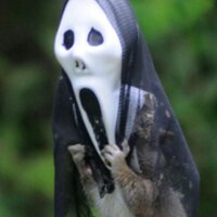 SBM as was (@schoolburs) 's Twitter Profile Photo