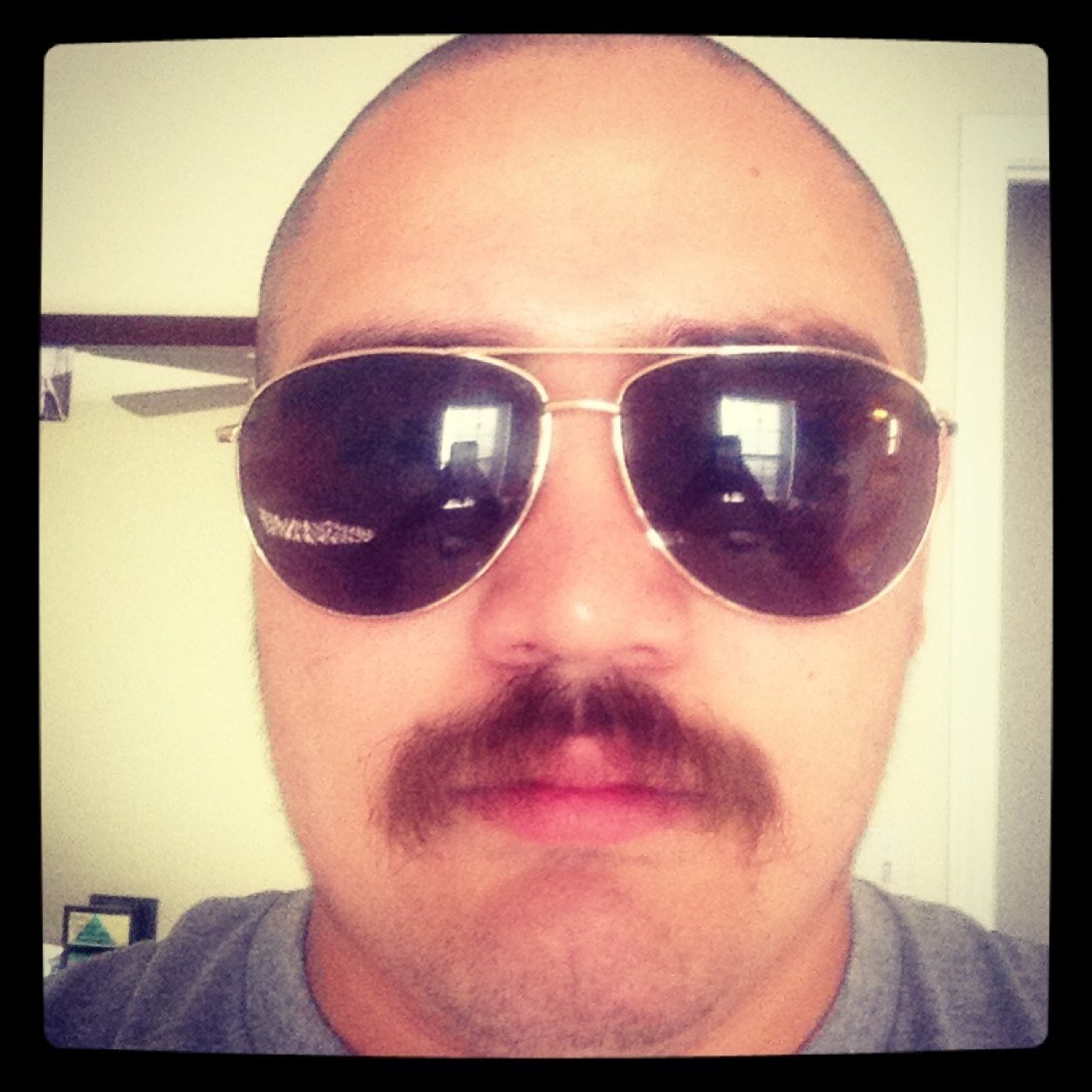 trendybullshit's profile picture. 