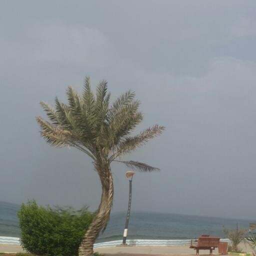 Omdah33U's profile picture. 