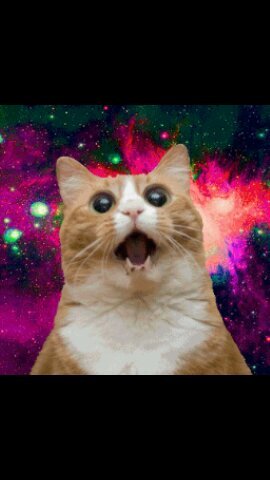 BandsAreMyLife8's profile picture. 16.. Skating.. Bands.. And well thats my life :) I like some people and alot of bands :D Snapchat: xawkwardxgoatx kik: musiciseverything89