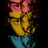 HiroKrueger's profile image