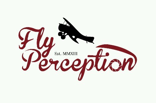 Bringing forth how you percieve things. flyperception is a lifestyle, you walk you run you fly