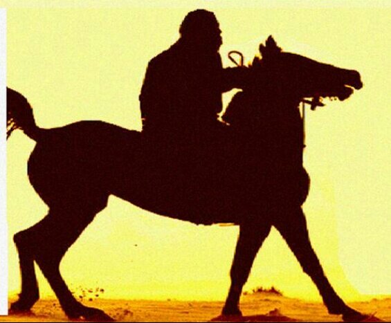 faris_511_511's profile picture. 