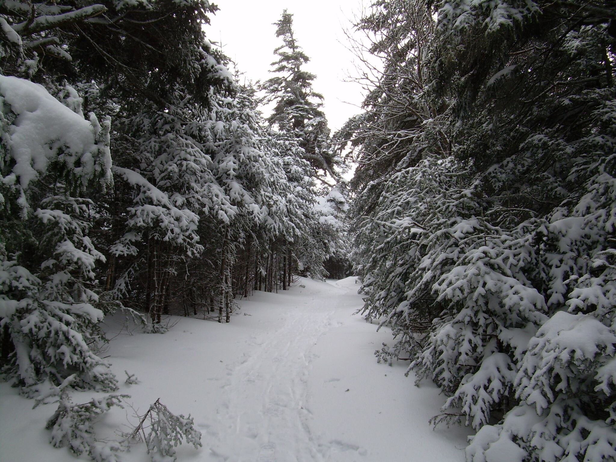 The road goes ever on and on