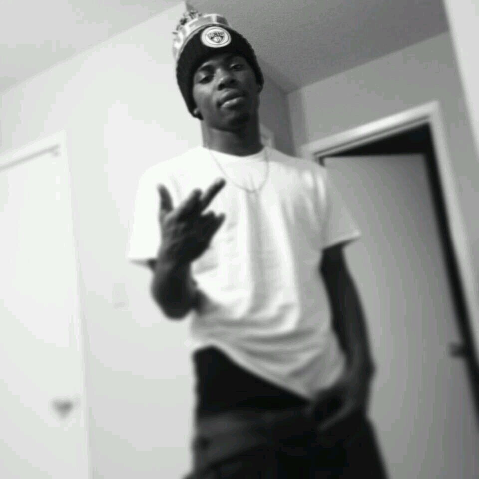 New Twitter Follow Me