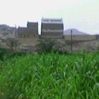أبو صالح (@8b5d2ed54fd94ee) 's Twitter Profile