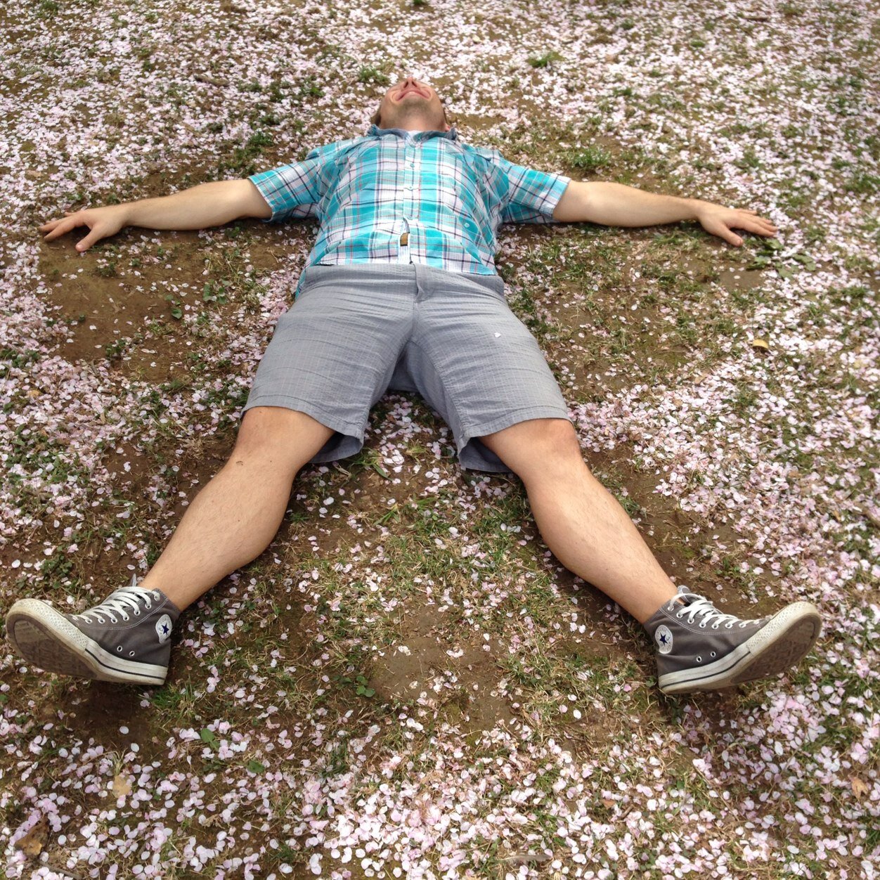 SocialHans's profile picture. Business, Health and Education!