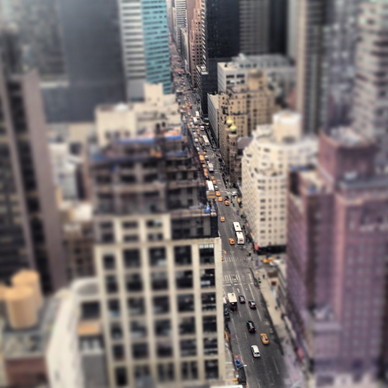 ACliffordturner's profile picture. True story