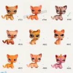 hey i'm an lps collector who loves fashion and hanging with my bff's u can be one 2 i also read warriors and i will follow u if u follow me and my name is megan