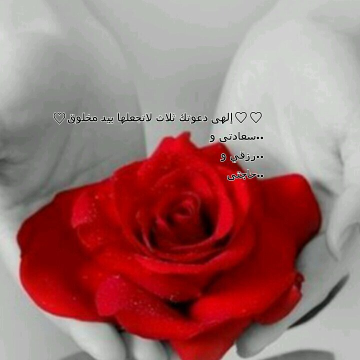 ‏‏‏‏‏♡‏أحب الله وارجو رضاة♡ والدى أعظم رجل في حياتى لن يتكرررحمه الله♡اكتب مايروق لي وانقل مايعجبنى لايهمنى راي احد الارضى ربي♡اللهم يامقلب القلوب والآبصار ثبت