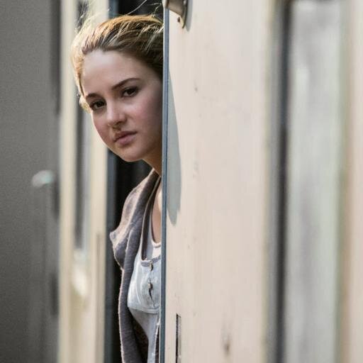 AdmiringShai's profile picture. 