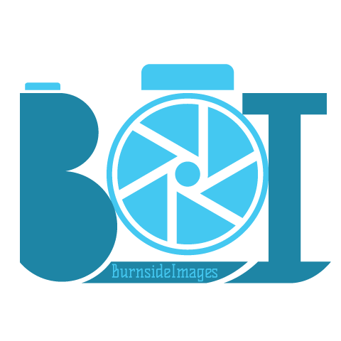 BurnsideImages's profile picture. Photographer - Concerts - Sports - Portraits - Landscapes burnsideImages@gmail.com