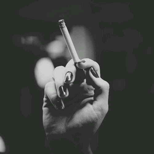 kill_me_sad's profile picture. I would do anything for someone to end it all right now.