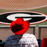 fightingdawg's profile picture. Husband, father, 2x dawg dad, class of 1985 and life time Georgia fan, #GoDawgs