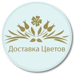 InfoTsvetov Profile Picture
